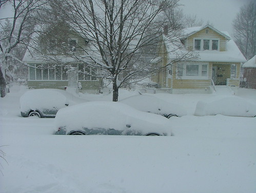 February 2010 snow 040