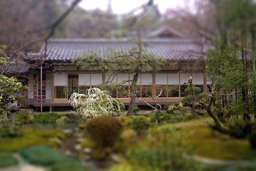 tilt shift Japanese garden