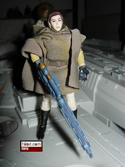 Princess Leia Organa (Infinities)