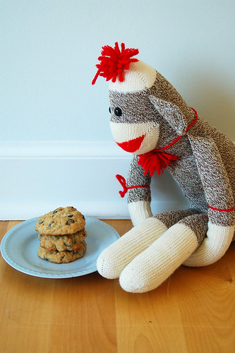 9 out of ten sock monkeys prefer Banana Walnut Chocolate Chip Cookies to actual bananas.