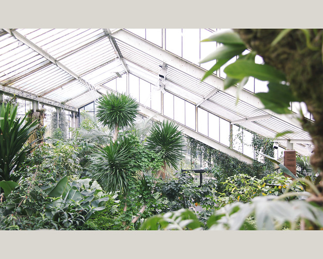 Kew Gardens - Prince of Wales Conservatory