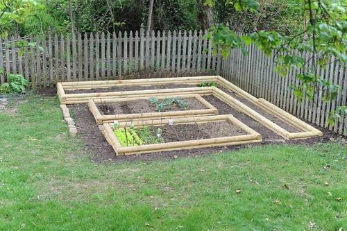 Veggie garden layout
