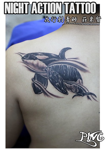  black&grey tattoo -Orcinus orca 