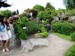 Oslo Botanical Garden in Norway #9
