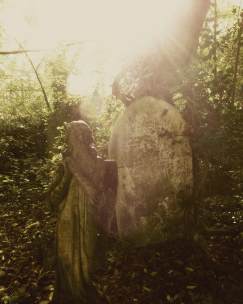 Nunhead Cemetery 8 ~ Angel