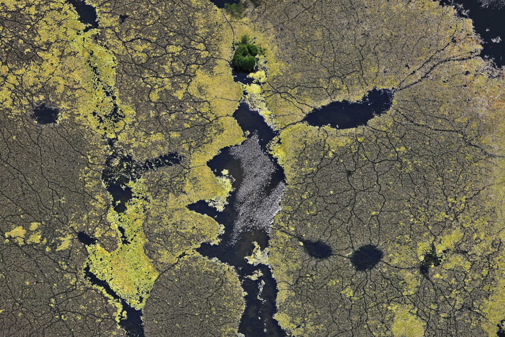 Luftbild von Algen auf einem Baggersee. Sieht aus wie eine Landkarte für Enten