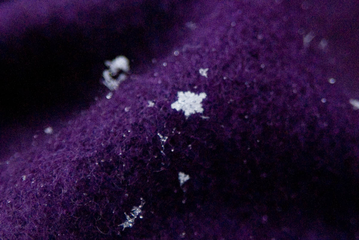snowflakes-3