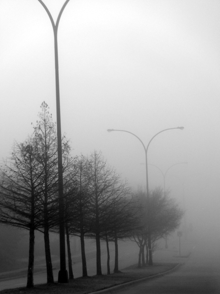 fog2.jpg