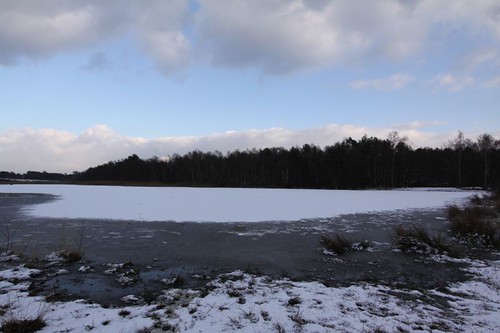 It was a beautiful winter day in Ter Molen...