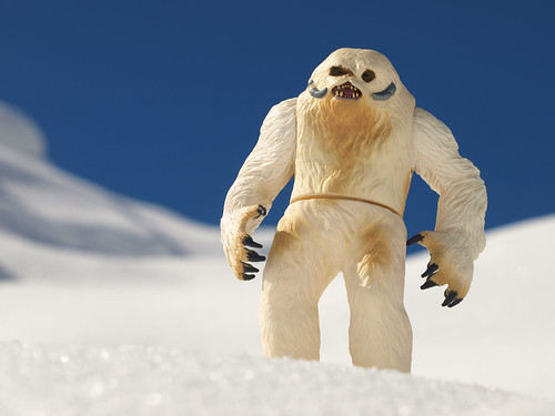 Wampa on the hill