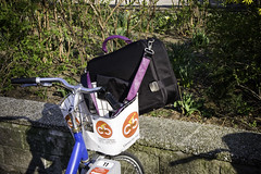 Vienna Michaud Bag on City Bike