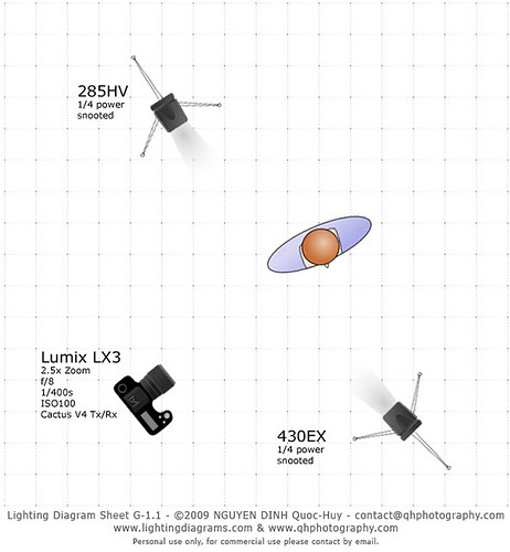 P52W17 lighting diagram