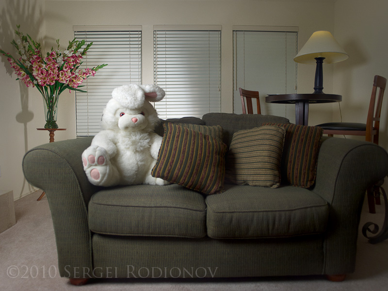 bunny light interior 8020