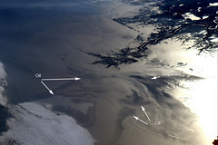Oil Spill, Gulf of Mexico (NASA, International...