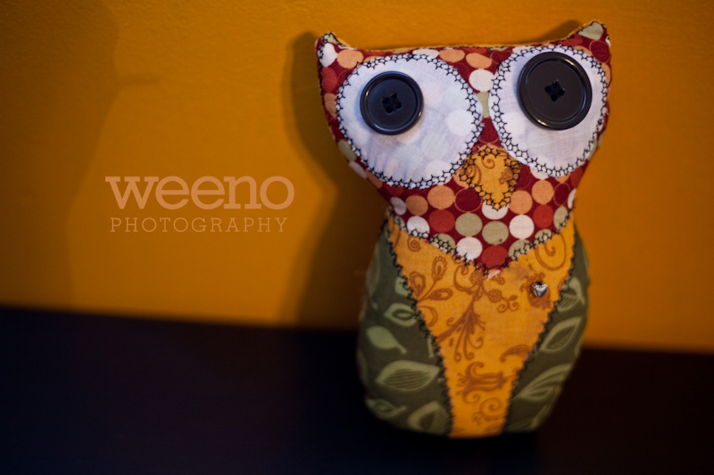 Tuks Owl (1 of 5)