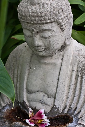 Buddha  138/365