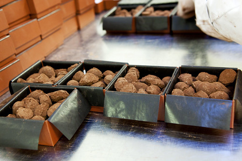 Packing Cognac infused truffles