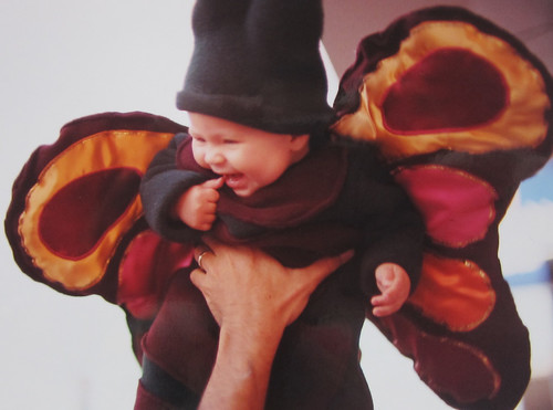 Sadie butterfly 1999