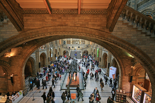 The Great Hall, Natural History Museum 