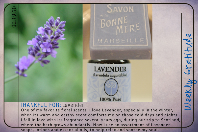 Weekly Gratitude - Lavender