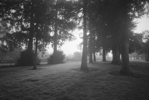 misty morning air