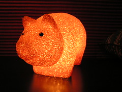 Pig Lamp!