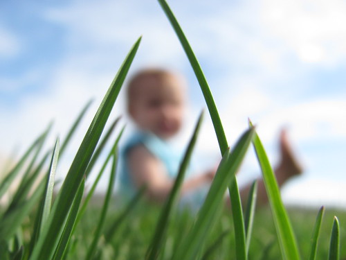 grass + baby
