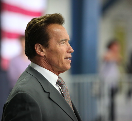 Schwarzenegger Reveals He Had Child With Staffer