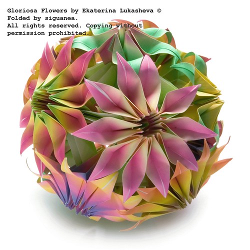 Gloriosa flowers by Ekaterina Lukasheva