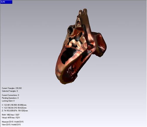 Heart Model 3D Scan