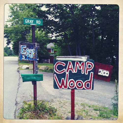camp wood (eggs)