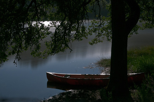 Canoe in the Moonlight
