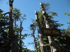 Gray Peak 036