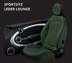 Leder Lounge Classic Green