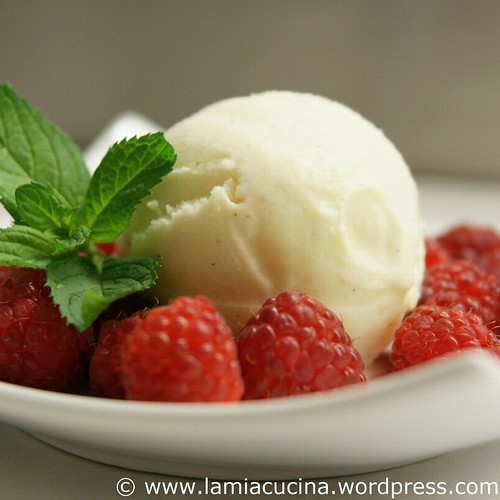 Nachgekocht: Vanille-Eiscreme, eifrei | lamiacucina