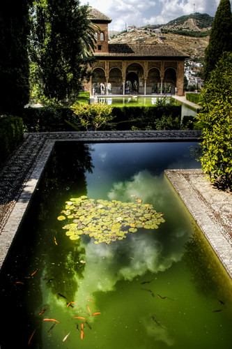 Partal gardens. Alhambra. Granada. Jardines del Partal.