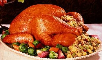 thanksgiving-turkey1_7