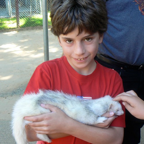 Gage with baby ferret