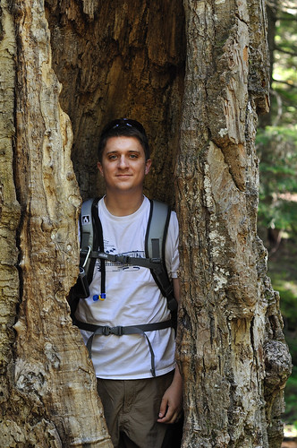 Me in a huge tree