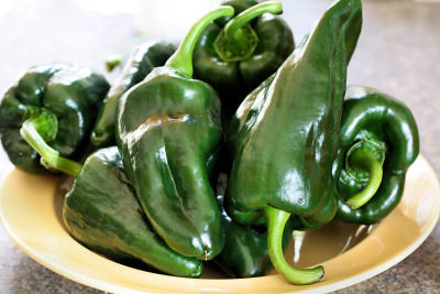 Poblano peppers 9702 R