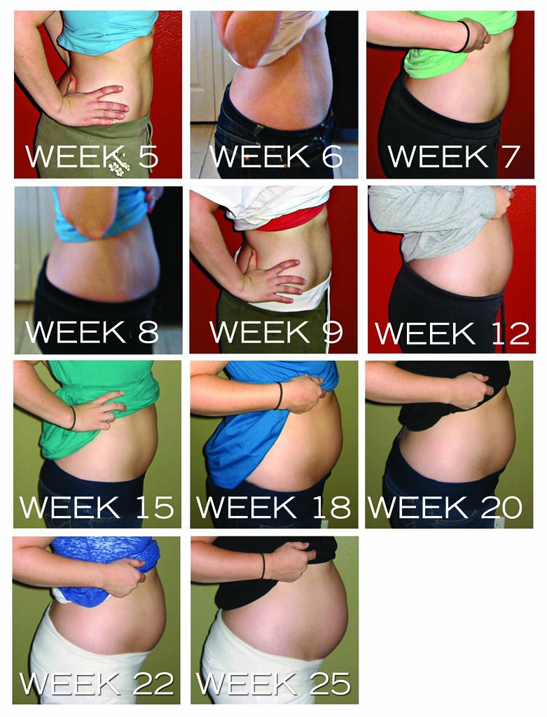 Belly Photos Cropped Week by Week copy