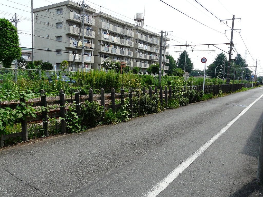 Trackside Asagao Space
