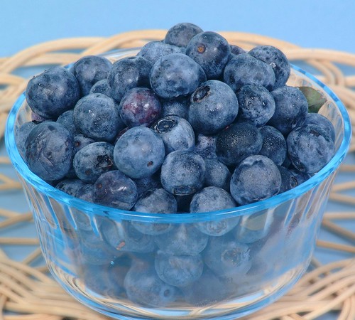 Easy blueberry recipes