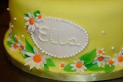 Ella's Cake 20100006