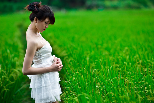 フリー写真素材|人物|女性|アジア女性|田畑・農場|稲・イネ|ドレス|