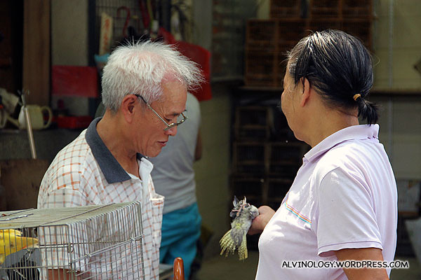 Uncle inspecting a bird he is about to buy