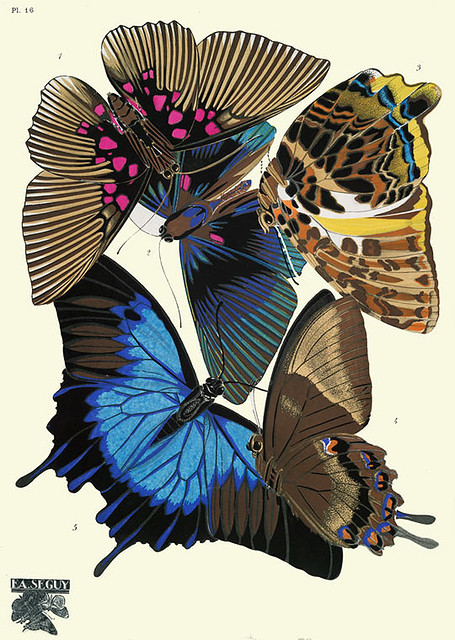 008-Papillons vingt planches en phototypie coloriees..1928- Eugene Alain Seguy
