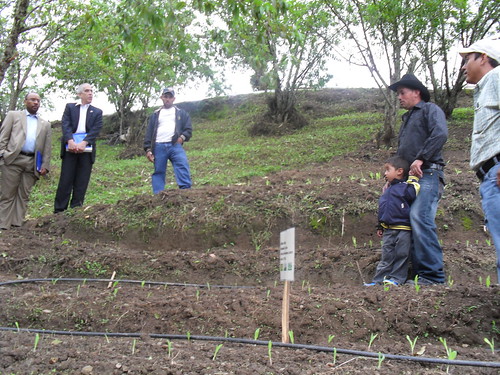 FAS Administrator John Brewer and FAS Agricultural Counselor Bob Hoff listen to producer Cesar Almendares explain how he is now using terraces to grow his products. Mr. Almendares said that with this new technique he is improving his harvest and taking care of the environment, since he is not causing erosion in the hillside.   