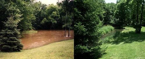 Flood Comparison