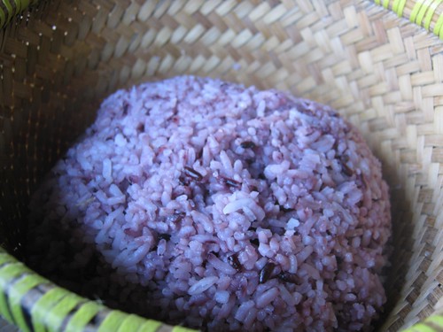 Nasi Hitam (Black Rice)